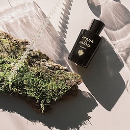 Signatures of the Sun Quercia - Eau de Parfum Woody Aromatic